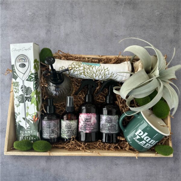 deluxe plant lady gift box