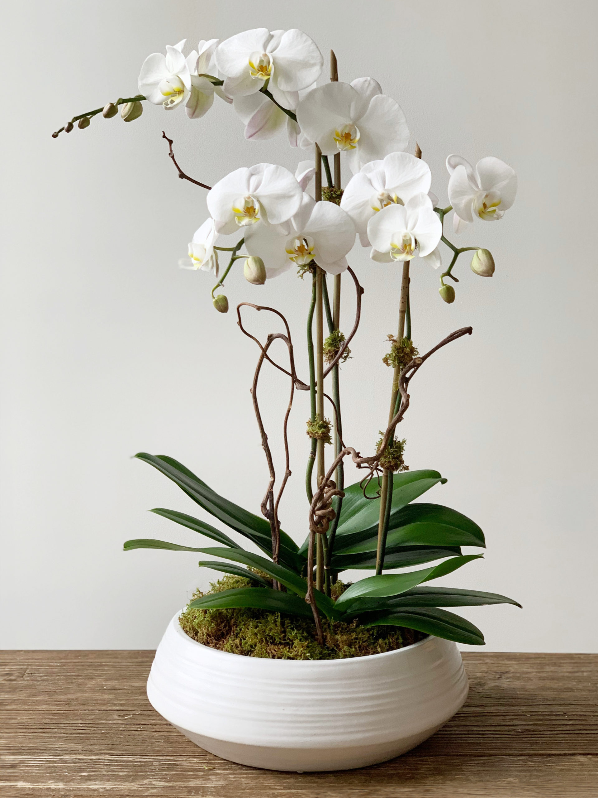 White Artificial Orchid Flower Arrangement, succulent , Moss, Xmas