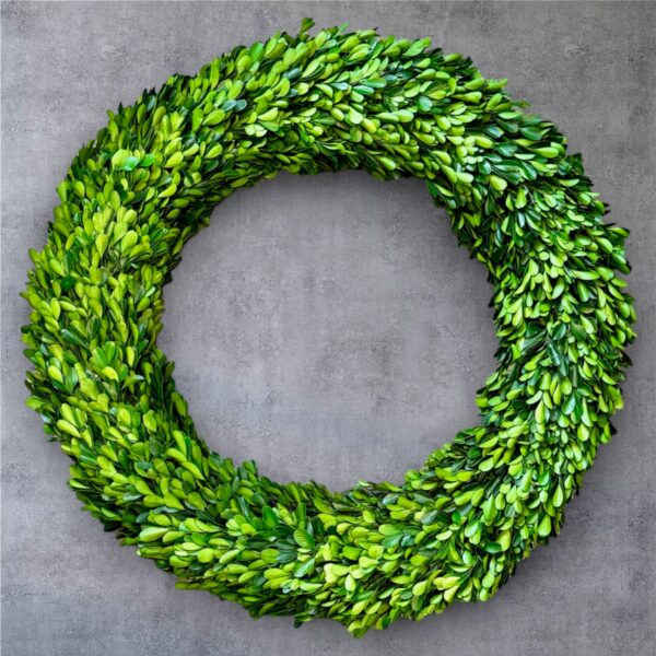 24" boxwood wreath