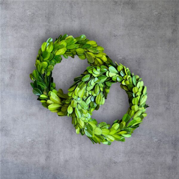 mini boxwood wreaths